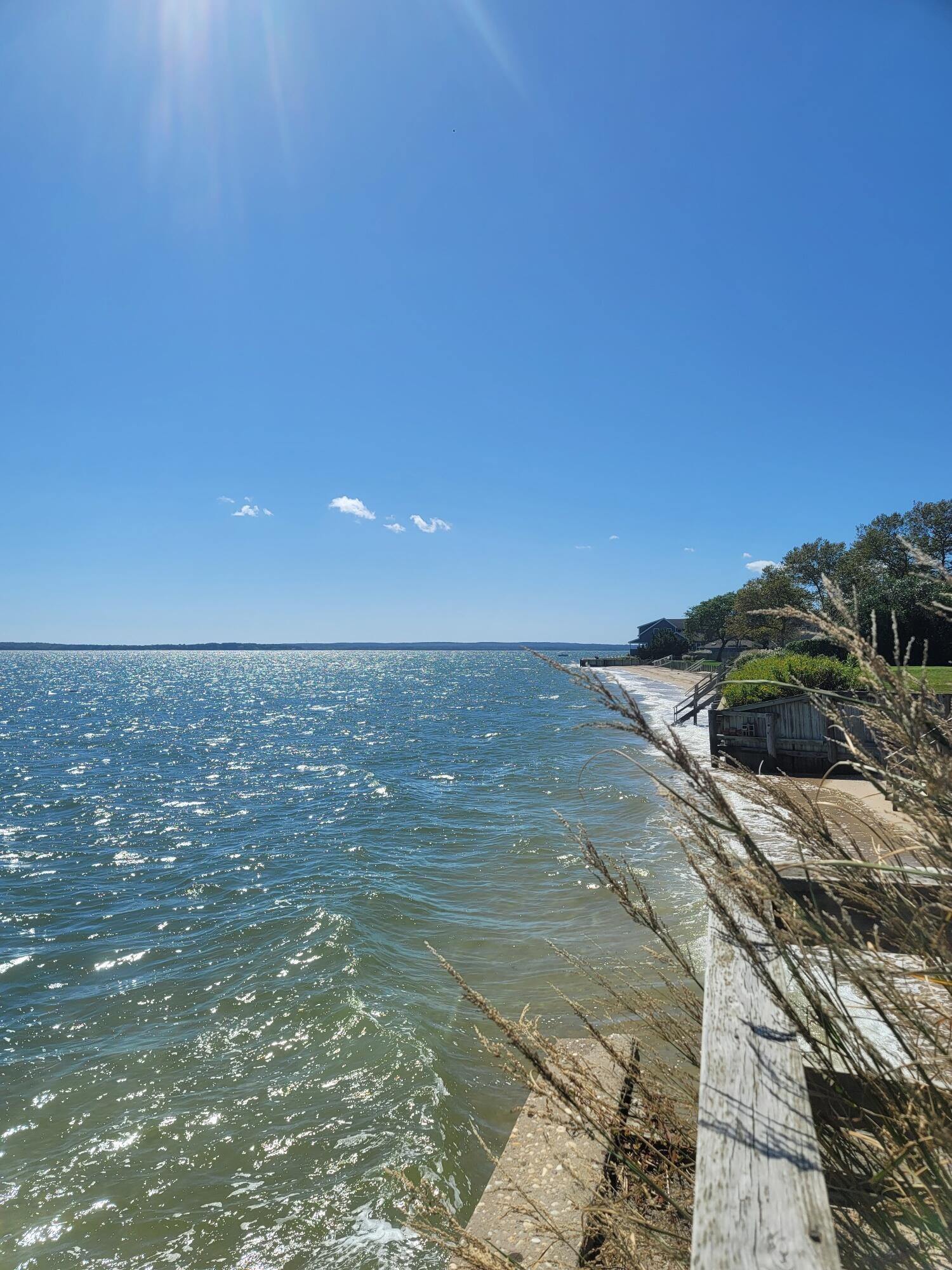 The waterfront shore of Long Island on a clear summer day
